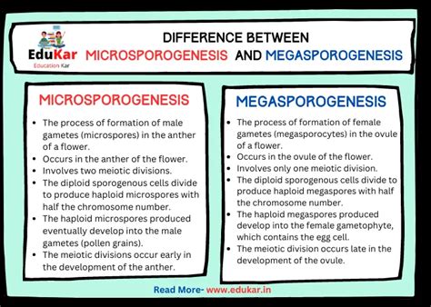 Difference between Microsporogenesis and Megasporogenesis - Edukar India