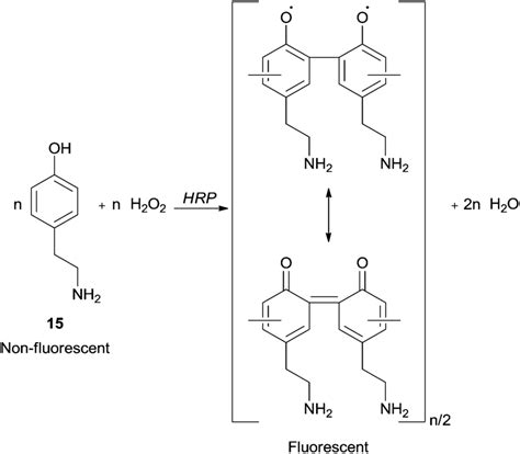 Scheme 6 Formation of fluorescent polymeric structure by HRP reaction ...