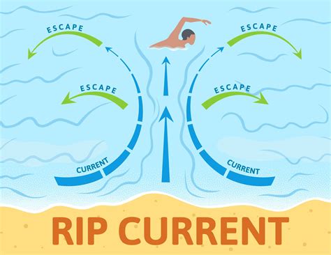 How to Identify, Avoid, and Escape a Rip Current - Loyalty Insurance