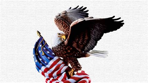 Wallpaper Of The Day: American Eagle - Common Sense Evaluation