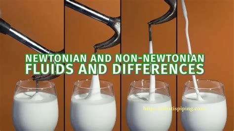 What are Newtonian and Non-Newtonian Fluids and What are the Differences? – What Is Piping