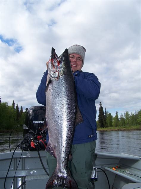 Alaska King Salmon - Alaska Fishing Guide | Fishtale River Guides