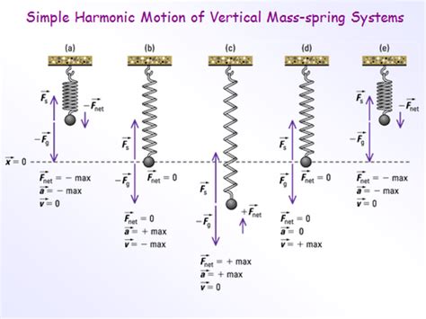 Unit 5: Oscillatory Motion and Mechanical Waves - Physics Project