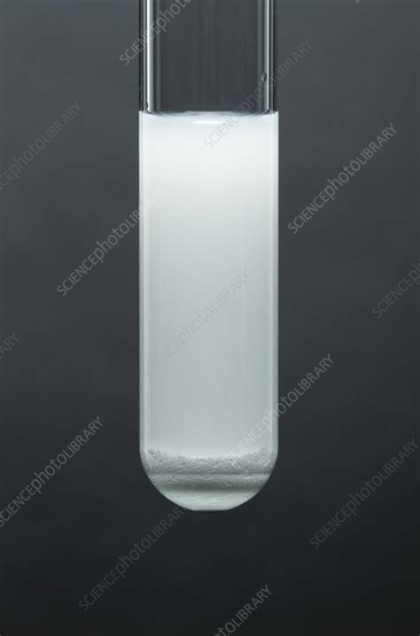 Silver chloride precipitate - Stock Image - C030/7203 - Science Photo Library