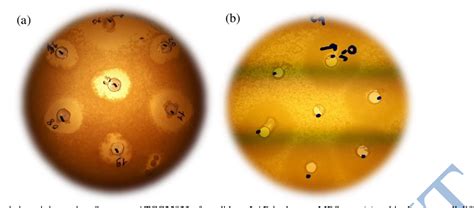 Figure 1 from PRELIMINARY PROBIOTIC POTENTIAL OF SELECTED AEROCOCCUS SPP., ENTEROCOCCUS SPP ...