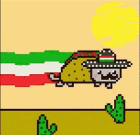 Mexican Burrito Nyan Cat GIF | GIFDB.com