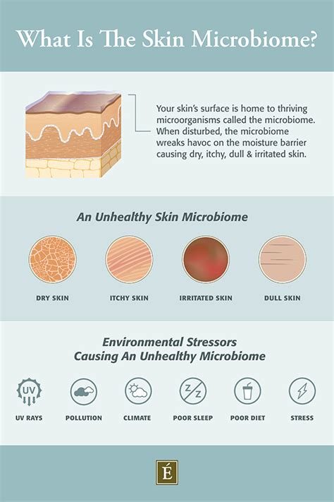 What Is The Skin Microbiome? | Eminence Organic Skin Care