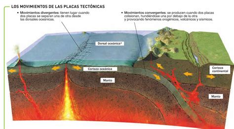 BORDES CONVERGENTES Y DIVERGENTES | Education, Science, Christmas decorations