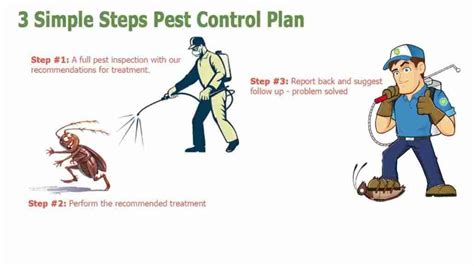 Natural Home Remedies To Keep Pests Out | Learn More N0w!