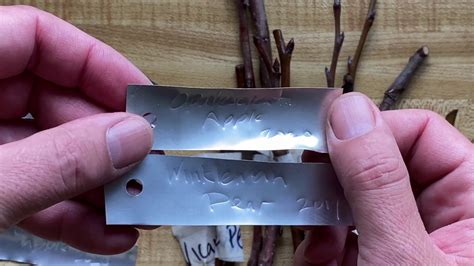 DIY - Easy long lasting embossed aluminum plant labels / tree tags - Patabook Home Improvements