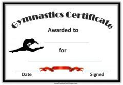 Gymnastics Awards