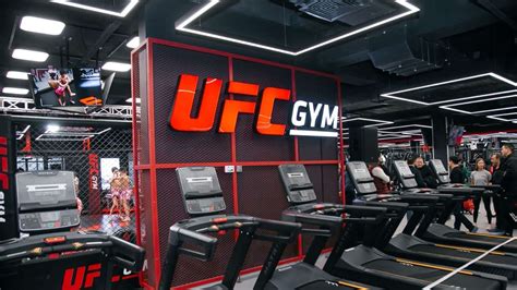 UFC GYM Franchise Cost Takes 8+ Years to Recoup (2024)