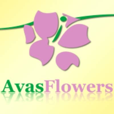 Working at Avas Flowers: Employee Reviews | Indeed.com