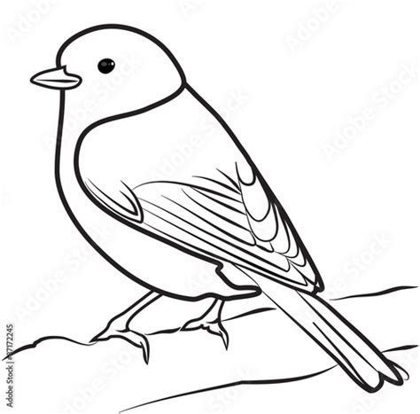 Bird Outline Coloring Page - 60+ SVG Design FIle