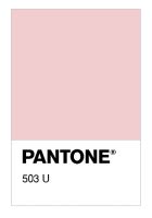 Colore PANTONE® 13-1520 TCX Rose Quartz - Numerosamente.it