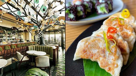 Delhi: These are the 15 best new restaurants that have opened this year ...