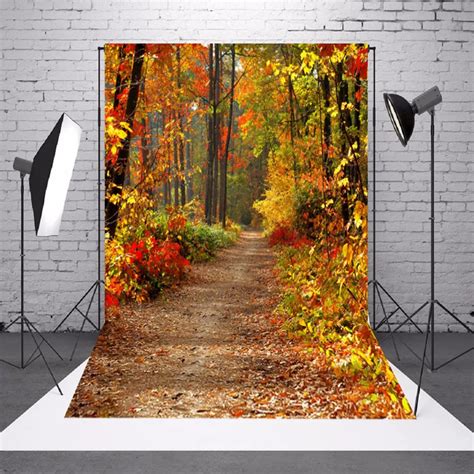 Aliexpress.com : Buy Vinyl Photography Backdrop 5X7FT Autumn Deciduous ...