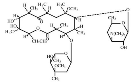 Biaxin, Biaxin XL (Clarithromycin): Uses, Dosage, Side Effects, Interactions, Warning