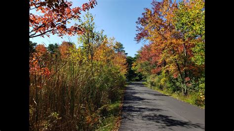 Fall Foliage Map | When and where to see the best fall colors | wnep.com