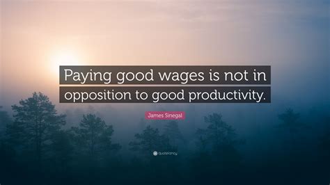 James Sinegal Quote: “Paying good wages is not in opposition to good productivity.”