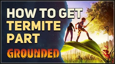 How to get Termite Part Grounded - YouTube