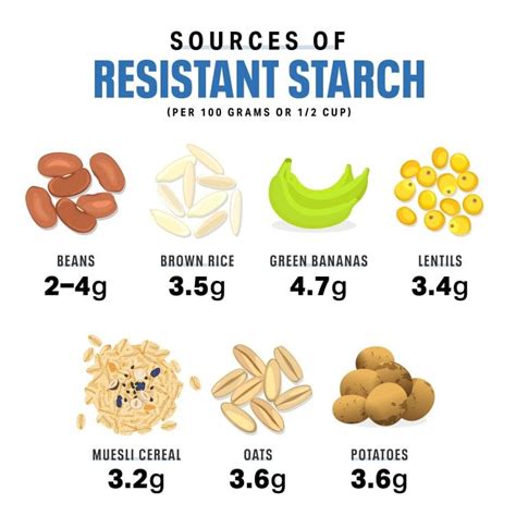 The Important Role Resistant Starch Plays in Weight Loss | Weight Loss ...