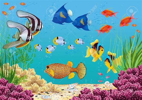 Swordtail Fish, Brain Drawing, Drawing Lessons For Kids, Different Fish, Types Of Fish, Painting ...