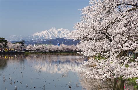 Forget Tokyo, Niigata Is The Next Top Japan Travel Destination!