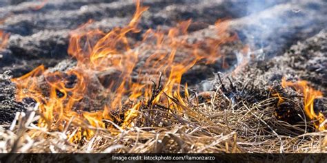 India Aims To Cut Stubble Burning In Key States By 70 Per cent, But ...