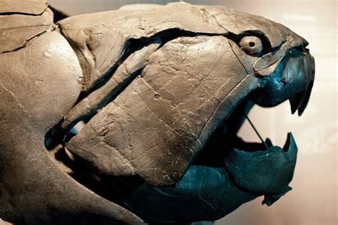 Top 11 Scariest Prehistoric Animals - FossilEra.com