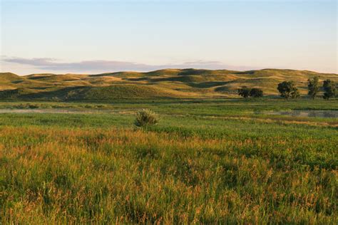 Prairies | Nebraska Game & Parks Commission