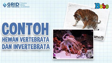 Contoh Hewan Vertebrata Dan Invertebrata Nauvera Blog | The Best Porn ...