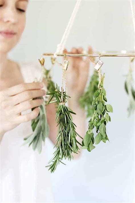 This DIY Herb Drying Rack Is the Kitchen Accessory You Didn't Know You ...