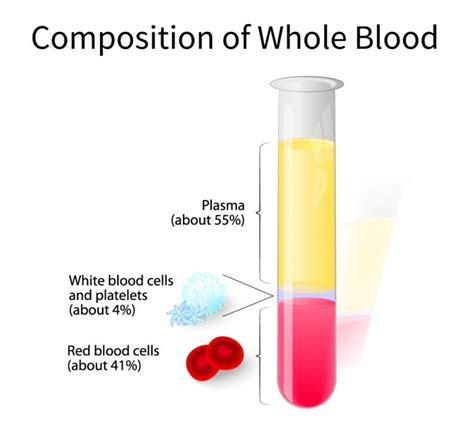 Whole Blood Composition — Stanford Blood Center