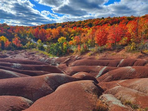 Cheltenham Badlands Road Trip - Member Stories