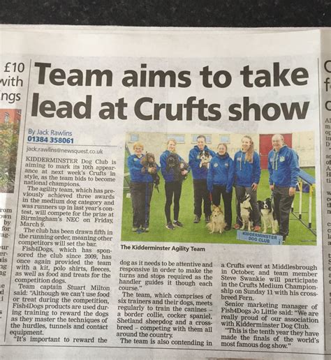 In The News | Kidderminster Dog Club