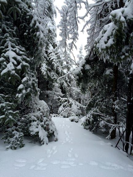 History of the Summit Hiking Trail ⋆ Friends of Mount Sunapee