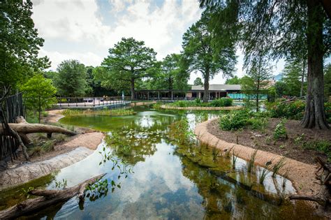 Houston Zoo Generates $240 Million in Impact for the Houston Economy - The Houston Zoo