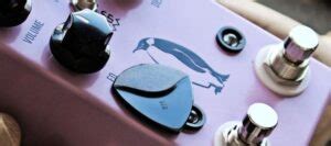 Top 20 Budget Reverb Pedals Under $50, $100, $150, $200 – Rock Guitar ...