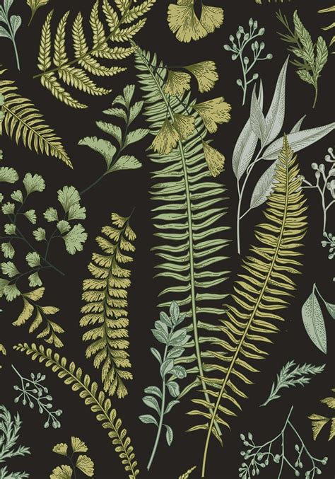 Dark botanical, vintage fern HD phone wallpaper | Pxfuel