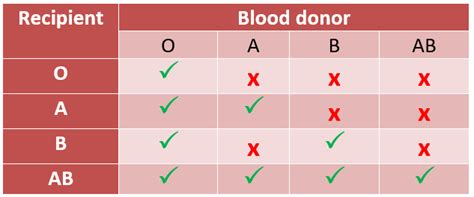 Blood Type 101 - BCBST News Center