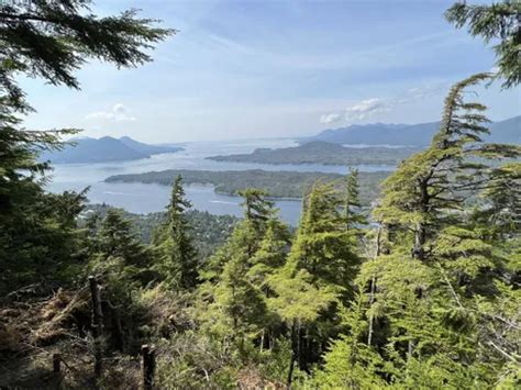 10 Best Trails and Hikes in Ketchikan | AllTrails