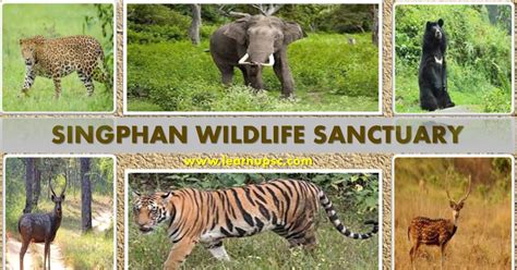 Singphan Wildlife Sanctuary - Learn UPSC