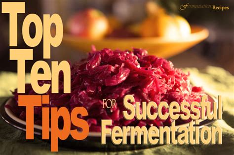 Top Ten Tips for Successful Fermentation | Fermentation Recipe