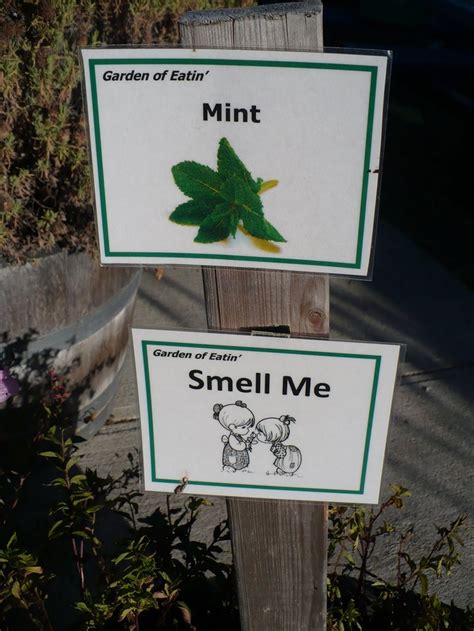 50 best images about School Garden Signs on Pinterest | Food signs, Sign design and Middle school