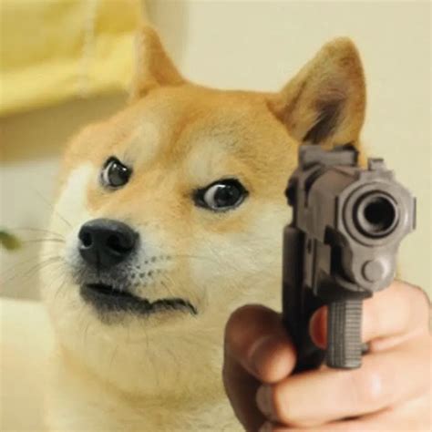 Angry doge Blank Template - Imgflip