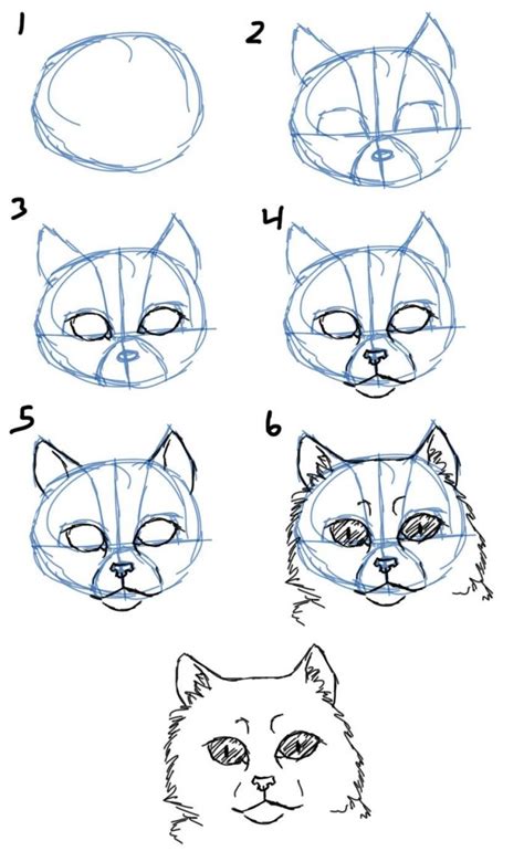 Exemple comment dessiner tête chat lignes cercle yeux de chat ...