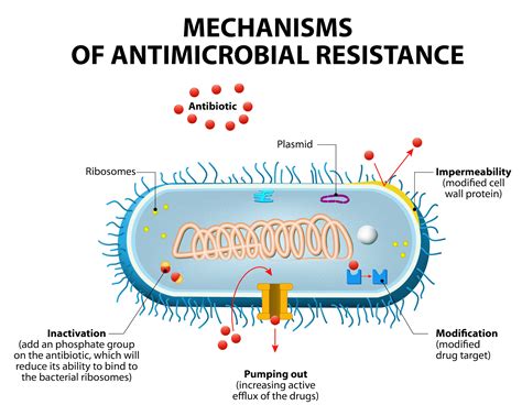 Antibiotics in our Water Supply – Are we Polluting the Element of Life? - Behind the Bench