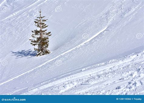 Minimalism Landscape Winter Snowy Background Stock Photo - Image of ...