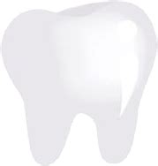 New Patient Forms - Winokur Dental